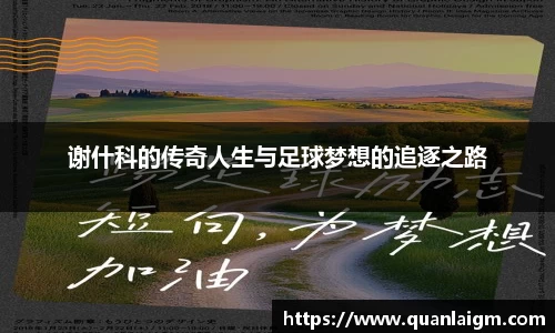 谢什科的传奇人生与足球梦想的追逐之路